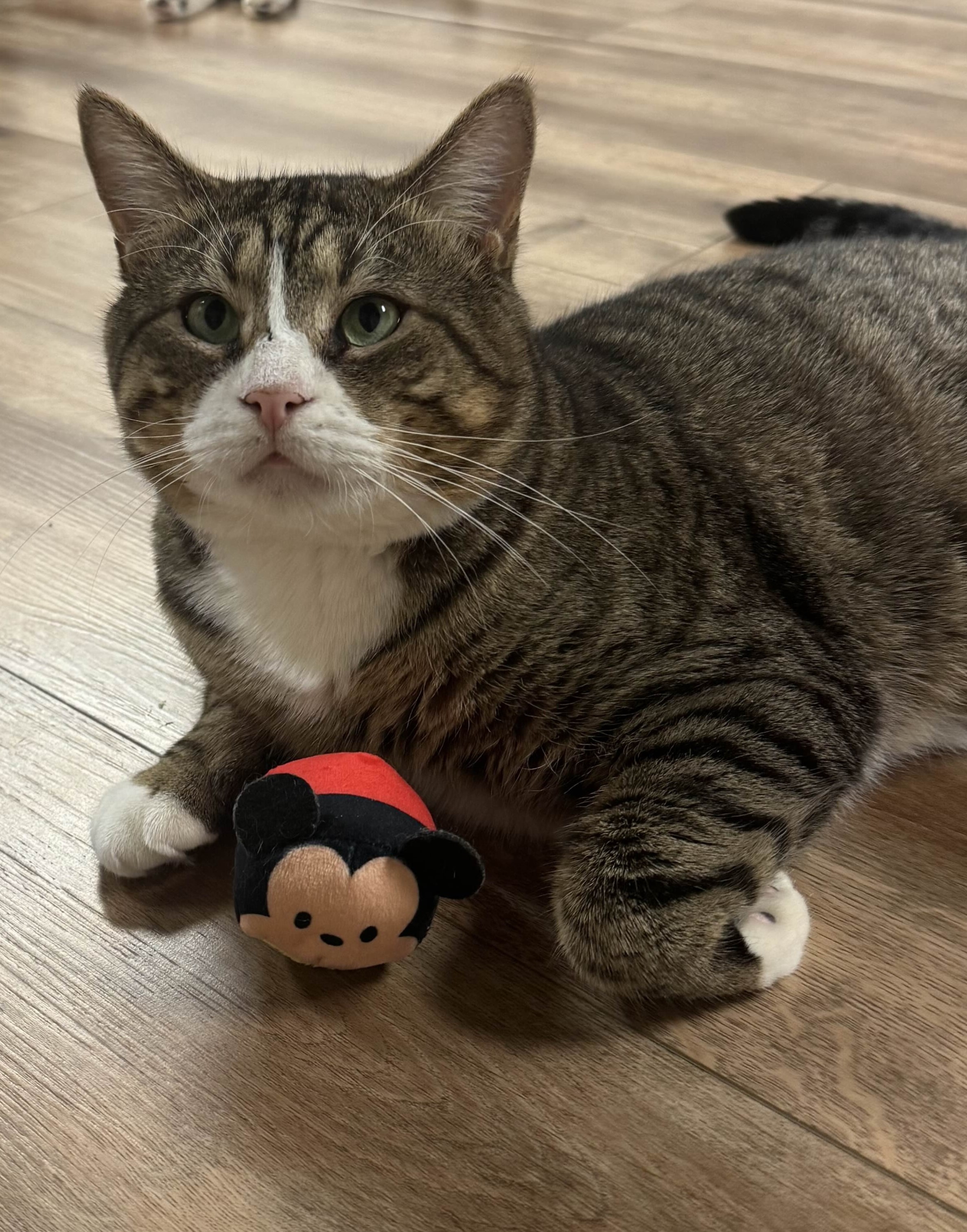 Gabriel looking up at you next to a small mickey mouse toy.