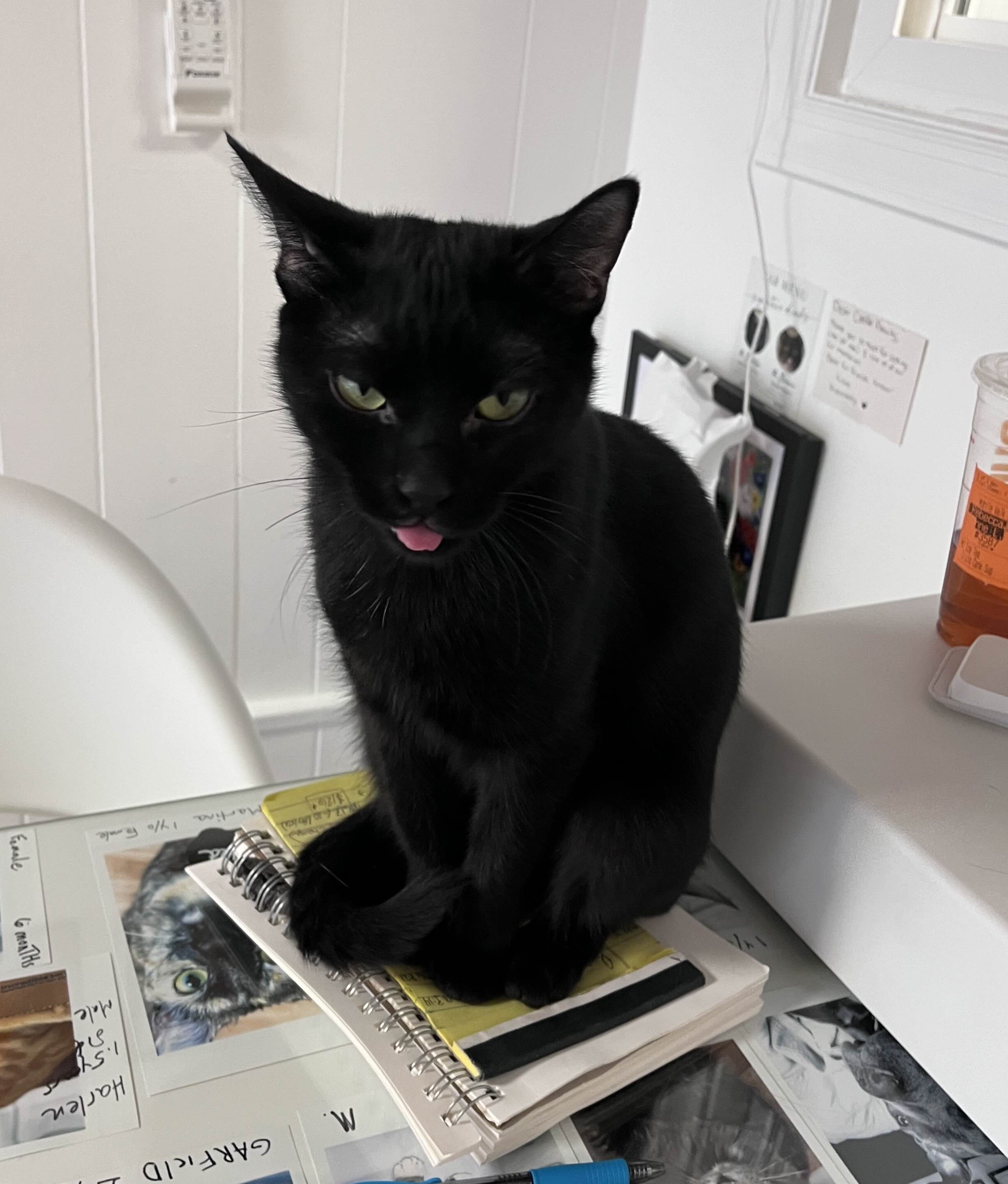 Sheena sticking her tongue out.